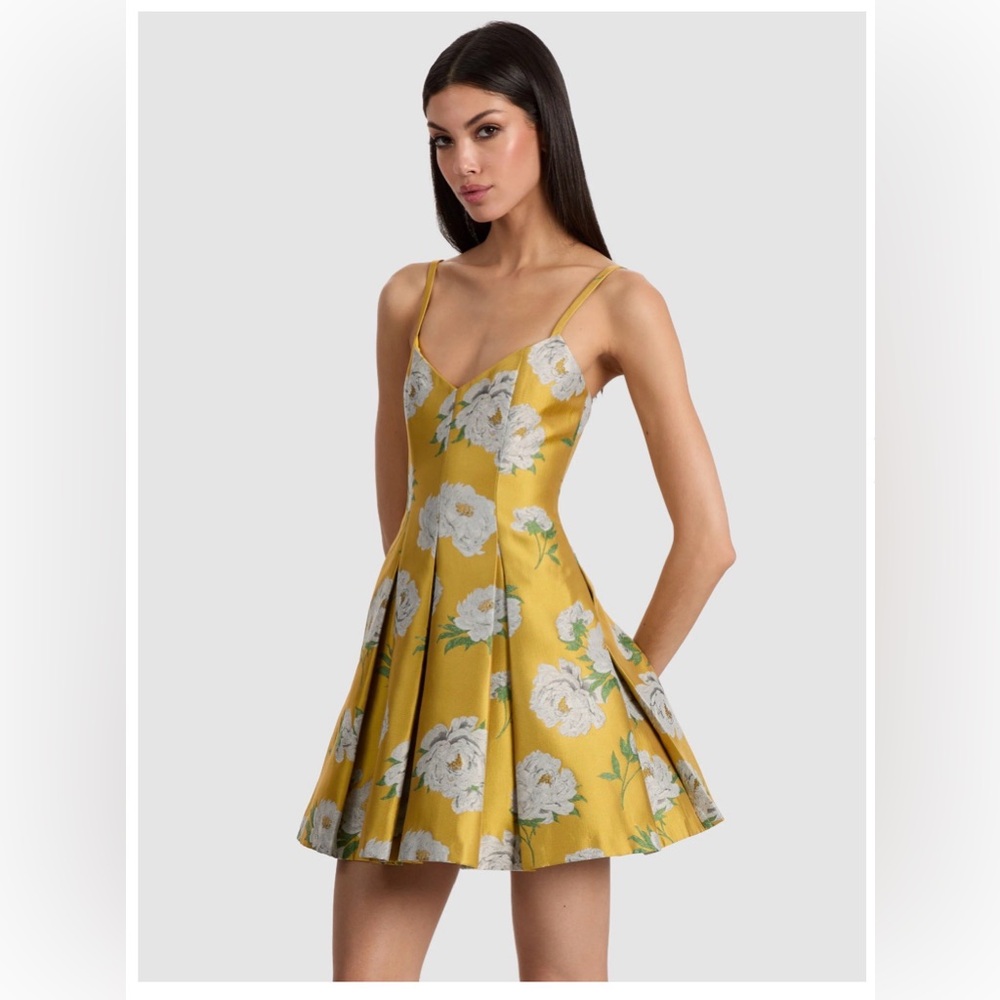 Alice + Olivia Floral Isabelle Mini Dress women’s sz 10
NWT